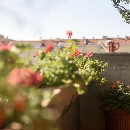Ferienwohnung Basic Apartman Zadar Exterior foto